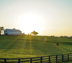 Why Live in Montana