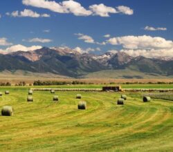 Why move to Montana